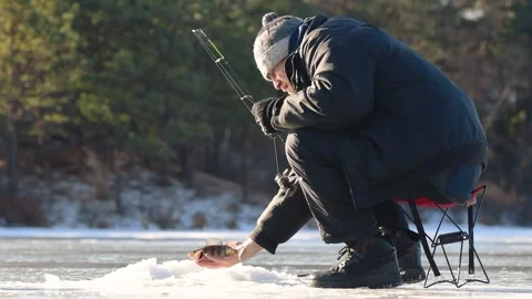 Man cought yellow perch on the ice video Stock Footage 255665028