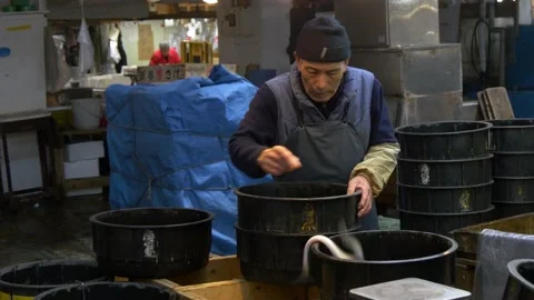 Man Counting Eels Inside The Biggest Fish Market In Tokyo, Japan Stock Footage 158994208