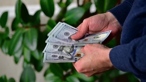 Man Counting Large Stack of Hundred Dollar Bills, Cash Money Stock Footage 346058087
