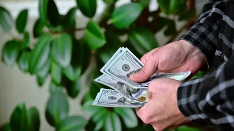 Man Counting Large Stack of Hundred Dollar Bills, Cash Money Stock Footage 346058088
