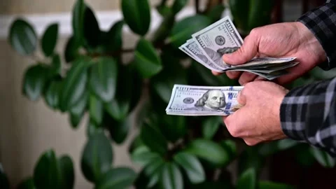 Man Counting Large Stack of Hundred Dollar Bills, Cash Money Stock Footage 346058159