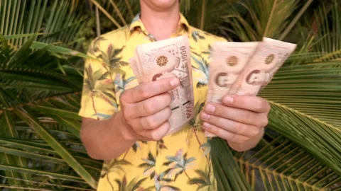 Man counting Thai Baht on a beach with palm leaves in the background Stock Footage 239032019
