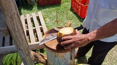 A man from the countryside cuts a coconut to extract the water and drink it in Stock Footage 343783286