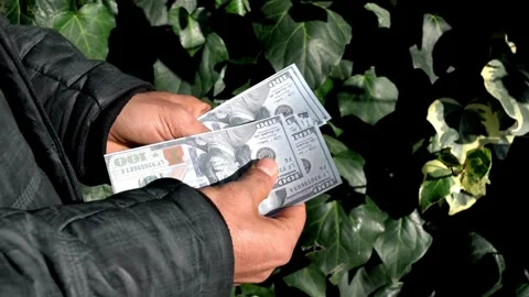 A man counts dollar bills for his investments. Closeup of hands counting do.. Stock Footage 266470831