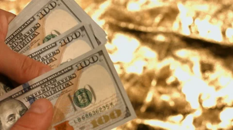 The man counts money dollars closeup. Stock Footage 62846146