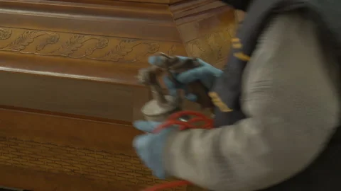 A man covers a tree with paint Video stock 148301410