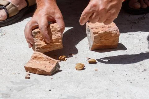 Man cracks nuts with a brick on concrete Stock Photos