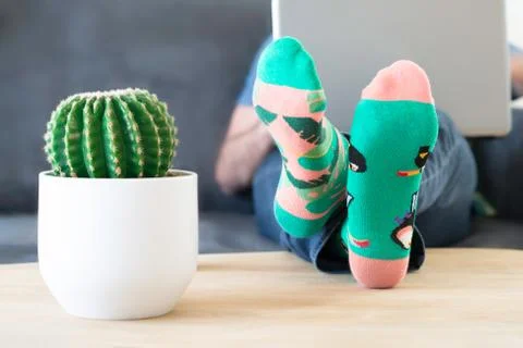 A man in crazy multi-coloured socks with feet and a cactus on table Foto stock