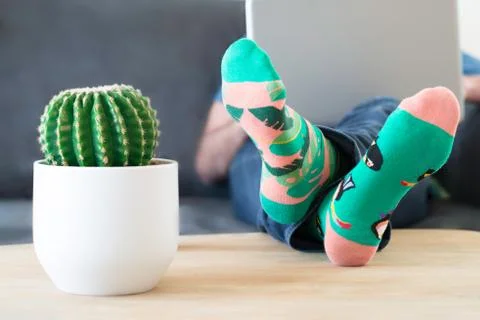 A man in crazy multi-coloured socks with feet and a cactus on table Foto stock