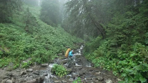 A man crosses a mountain river in the forest. A guy with a backpack during hike Stock Footage 213017852