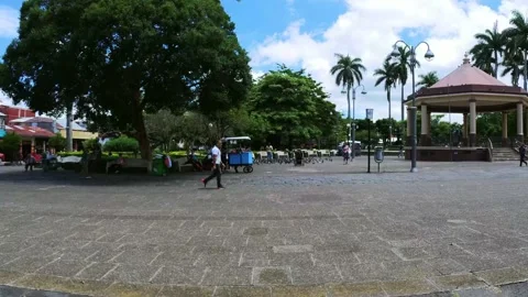 Man Crossing park Stock Footage 198601770