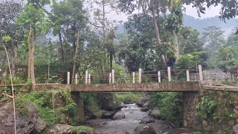 Man crossing small concrete bridge with grass feed Stock Footage 321109802