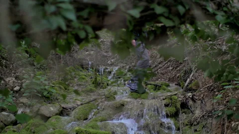 Man crossing small water stream in forest Stock Footage 233876426