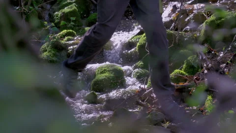 Man crossing small water stream in forest Video stock 233879384
