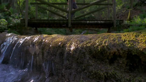 Man crossing small water stream on wood bridge in forest Stock Footage 233880073