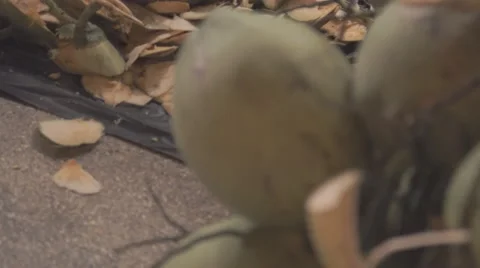 The man cut up the coconut with a large knife Stock Footage 68732419