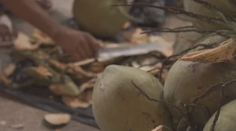 The man cut up the coconut with a large knife Vídeos de archivo 68732961