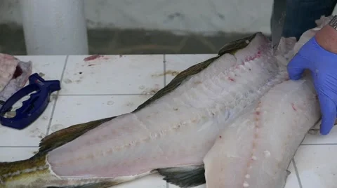 Man cut up cod  fish on the  fillet. Stock Footage 62034027