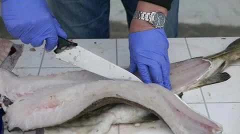 Man cut up the cod  fish. Stock Footage 62033969