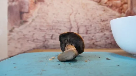 Man cut mushrooms Stock Footage 80213488