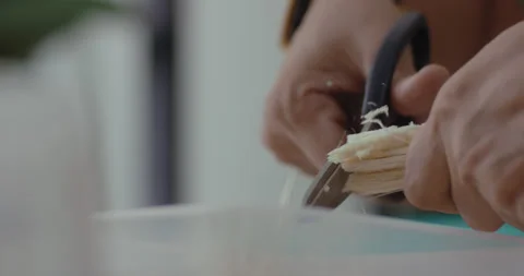 Man cut sugarcane stems into a clear plastic container Stock Footage 240690862