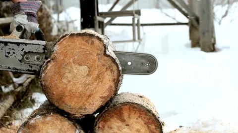 Man cut trees using an electrical chainsaw. Lumberjack using a chainsaw machine Stock Footage 336570107