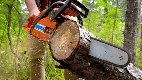 Man cut trees using an electrical chainsaw. Lumberjack using a chainsaw machine 動画素材 336570159
