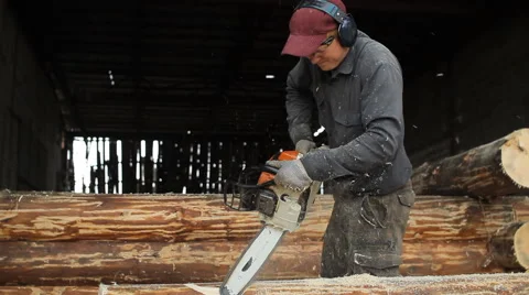 Man cuts off beam chainsaw for future home. Construction works with a wooden Stock Footage 65205382