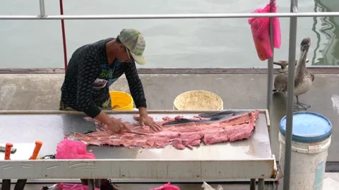 Man cuts up big fish at a table on the pier Stock Footage 248477308