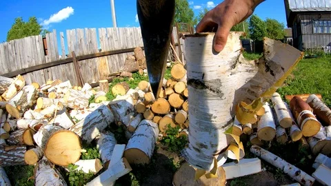 A man cuts birch logs with an ax.The process of harvesting wood fuel. Stock Footage 110689645