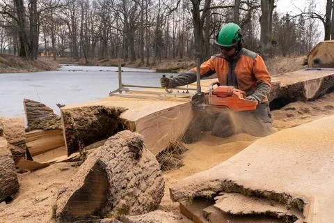 A man cuts boards using a mobile chainsaw mill. Stock Photos