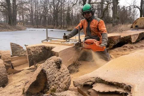 A man cuts boards using a mobile chainsaw mill. Stock Photos