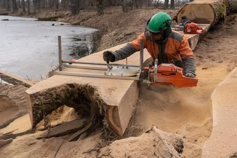 A man cuts boards using a mobile chainsaw mill. Stock Photos