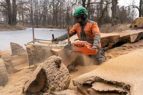 A man cuts boards using a mobile chainsaw mill. Stock Photos