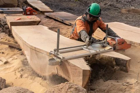 A man cuts boards using a mobile chainsaw mill. Stock Photos