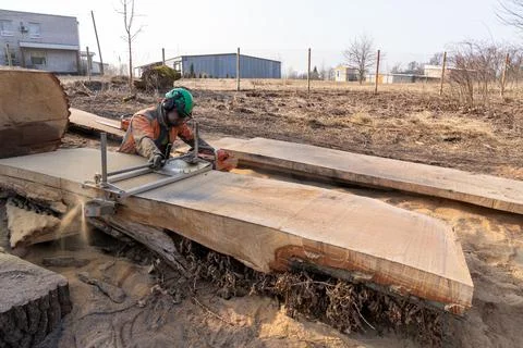 A man cuts boards using a mobile chainsaw mill. Stock Photos