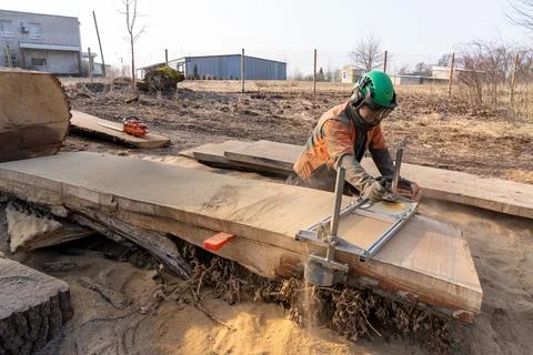 A man cuts boards using a mobile chainsaw mill. Stock Photos
