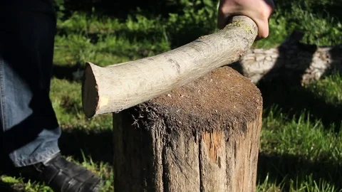 Man cuts a branch Stock Footage 76669747