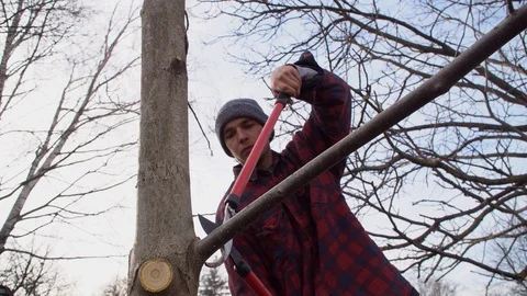 A man cuts a branch with a large pruner Stock Footage 125809592