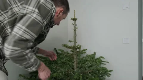 The man cuts branches on a Christmas tree Stock Footage 168897677