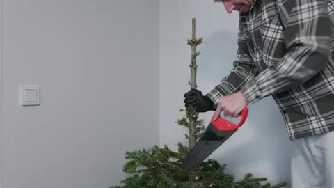The man cuts branches on a Christmas tree Stock Footage 168897940