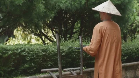 Man cuts the bush Stock Footage 73618726