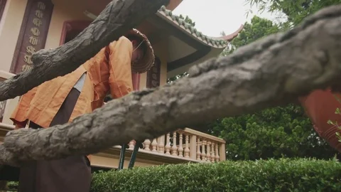 Man cuts the bush Stock Footage 73619679