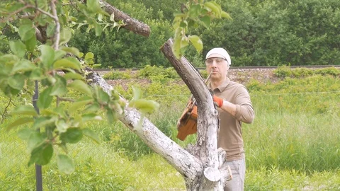 A man cuts a chain saw tree near his house. Green trees in the background Video stock 91663688