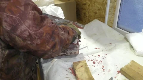 A man cuts a deer carcass into pieces.  Healthy food concept Stockbeeldmateriaal 146003564