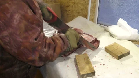 A man cuts a deer carcass into pieces.  Healthy food concept Vídeo Stock 146003735