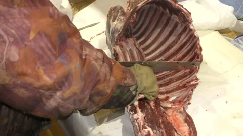 A man cuts a deer carcass into pieces.  Healthy food concept Stock-Footage 146004195