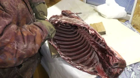 A man cuts a deer carcass into pieces.  Healthy food concept Stock Footage 146004888