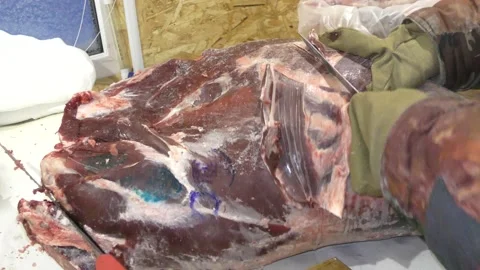 A man cuts a deer carcass into pieces.  Healthy food concept 動画素材 146005199