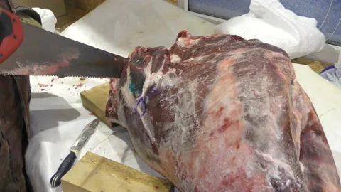 A man cuts a deer carcass into pieces.  Healthy food concept 스톡 동영상 146005735